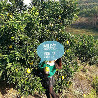 �������������ʳȲ裬ϣ����ʤ���Ӳ�