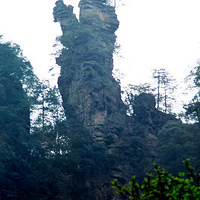 �żҽ�������