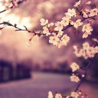 ӣ������