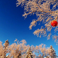 ѩ�ȶ������洩Խ