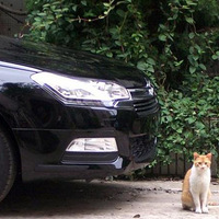 ���������ɫС����д������  ��г�ദ