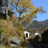 11.17���յǶ��鴬�⣬����ɽ��ɽ���գ��������ӣ�ʮ�žŲ��أ�