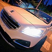 ҹɫ����  3008�����ݼ����Ϸ