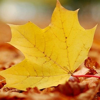 ���졢�������򿨡���2013��11��