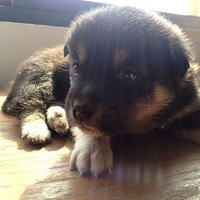 �Ѿ���sugarblack�������  �������Ĺ�  �ѻ������T T 