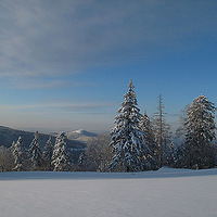 ���ڴ����������Ķ��Ǻ��ֵ�ȻҲ��Ů����