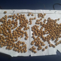 ��ָ����