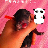 ��������   ���ȵĳɳ���¼ ^.^ ��������  (�Ǹ�С¥ ���д���)