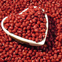 ������������ҹ ���ȼ֬������