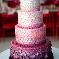 �����Ľ��