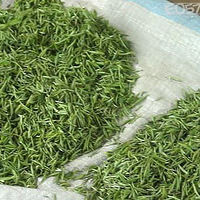 ���˲�����˾Ƶ�������ö�