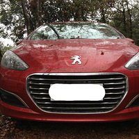 �����ø��� �����ҵ�ʨ��������