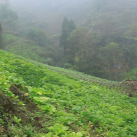 �㽭������ѧ�о������Ĵ���ɺ�֧�̼���