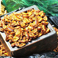 ����ʳ�õĳ��ӣ�