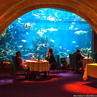 ���㴴��ĺ��ײ�����