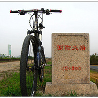 �����մ�����é����