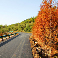 ����ĺ�Ҷ����Ű��һ�죬��ԽĪ��ɽ����λɽ