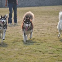 11��23�� ���ɳ�������޹�Ⱥ�~��ɵ�����