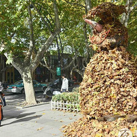 �������й���Ժ��ƥŵ�ܰ�