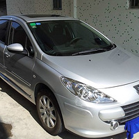 �����˵�������307  1.6L�ֶ����ʰ治��������