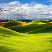 2013��12��������ֽ