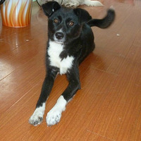 ������2013��11�µ�5�ڹ����������� 