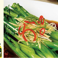 ����Ӫ������