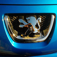 ��ɫСʨ�ӻؼ��ˣ�д����ҵ��֤һ��