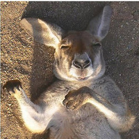 �����Ҵ���޵ľ��ʣ��������ȴ���