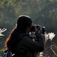 ����Ϫʪ��Ѱ���������Ϣ