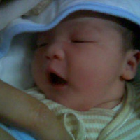 �����ճ�����������ʨ��˫ϲ����