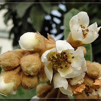 Ⱥ������֮���˻�