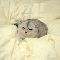 �������ˡ���ݮ����