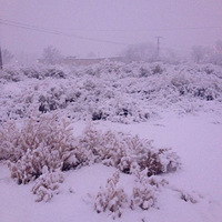 ���㾢���ģ���ô��Ĵ�ѧ���ǵ�һ�μ�����