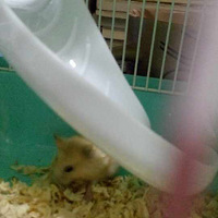 ��������ֻ���µĶ���