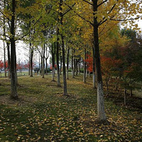 �������ļ������ֶ�С����������ע��������