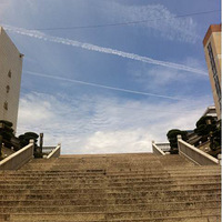 ���ҵ�����и�СС�ķ��ա�������