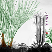 �����߽����ص��Ӿ�����