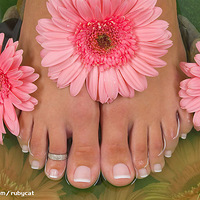 ��Ҳi�����ﶬ���ֽű�����ô��