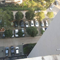 ʨ���������� С������ ��һ��