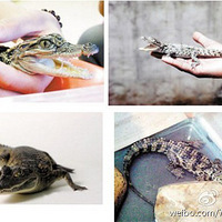 ��ѧ�������������� �̵��ѧ������