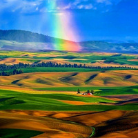 ��ʵ�����