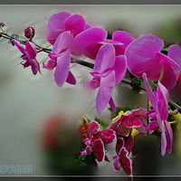 �Ұ��㡪�������ġ���������