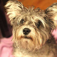 �װ��Ĺ�ͷ���ְ���Զ���㡣