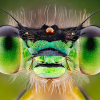 ΢�ྵͷ�µ�����