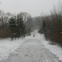 2.0�����ѩʨ����ף��ҽ��տ���  �����д���!!