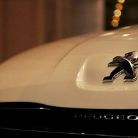 ���Ŵ�ʨ�����ع⣬��ͼ����֤