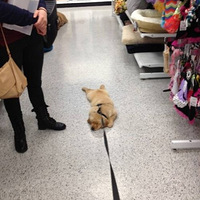 С2�Ӹ�Ц����1����������ᣡ