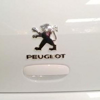 ����ʨ�Ӹо���������