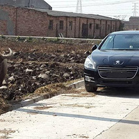 ����2.3L�Զ��콢��ʨ�����磬�ᳵ��ҵ